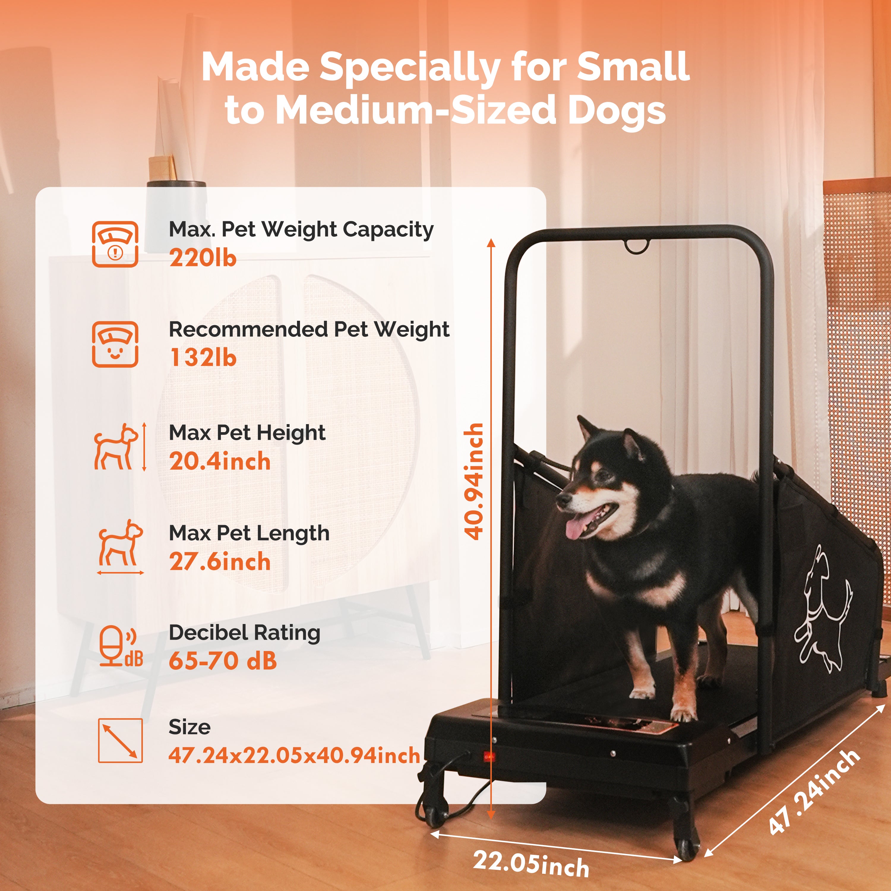 Dog Treadmill for Medium Dogs - Dog Pacer Treadmill