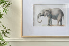 23.6x31.5" Fake Elephant Pencil Drawings, Set of 2