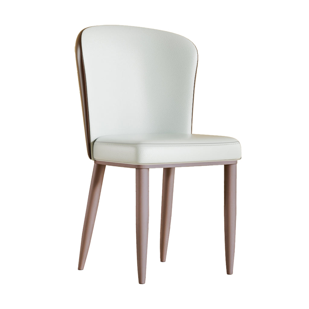 Modern Dining Chair with Carbon Steel Legs – Set of 2