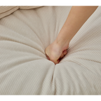 Modular Sofa with Neck and Lumbar Pillows