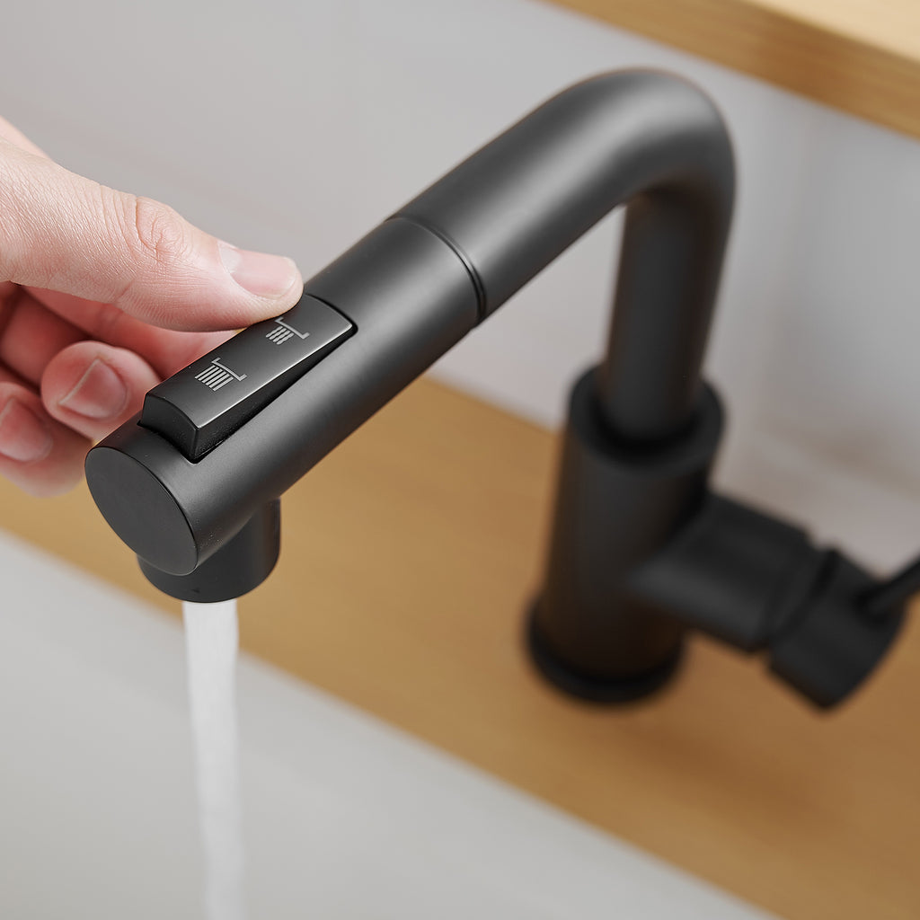 Sink Faucet