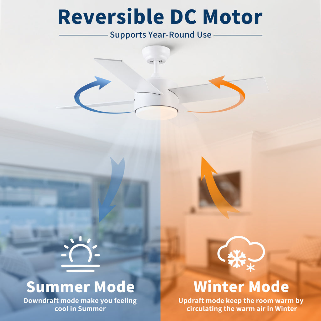 44" Ceiling Fan with Lights & Remote - Matte Finish