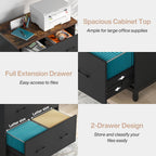 2-Drawer Lateral File Cabinet