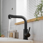 Sink Faucet