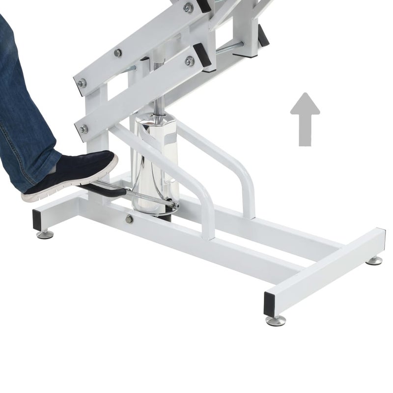 42.5-Inch Hydraulic Pet Grooming Table With "H" Arm