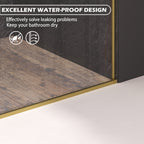 Dual Sliding Frameless Shower Door