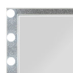 Sliverfluff Mirrored & Champagne Finish Mirror W/Light
