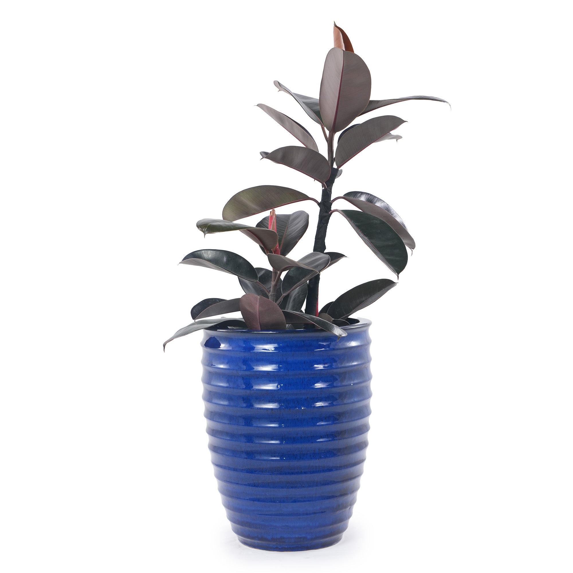 Handmade Sapphire Ceramic Garden Pot