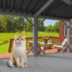 Cat Catio Window Perch for Large Indoor Cats