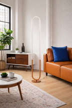 Contemporary LED Floor Lamp