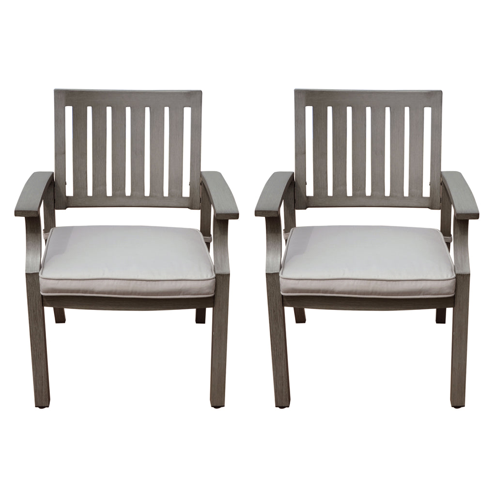 Outdoor Modern Aluminum Dining Chair with Cushion (Set of 2)