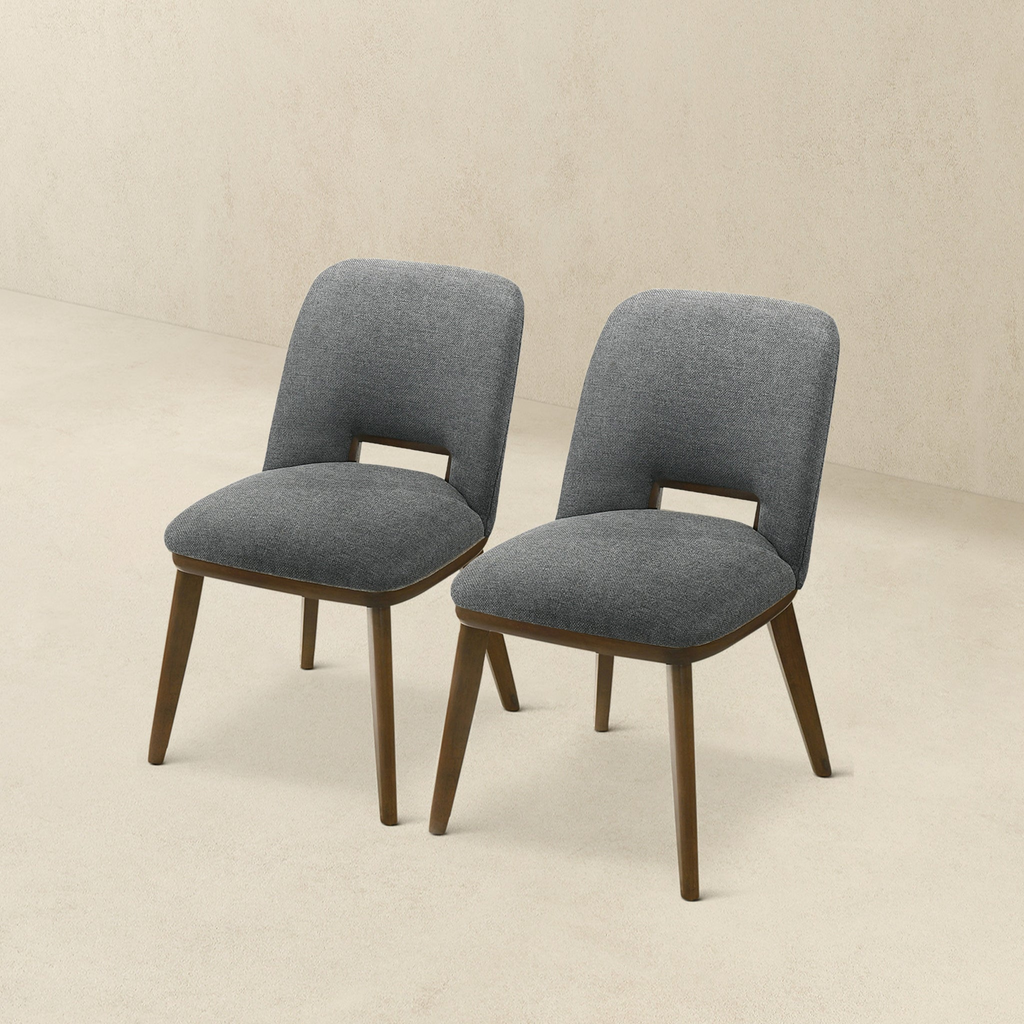 Modern Blake Dark Dining Chairs - Set of 2