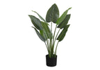 Artificial Plant - 37" Tall Aureum Tree