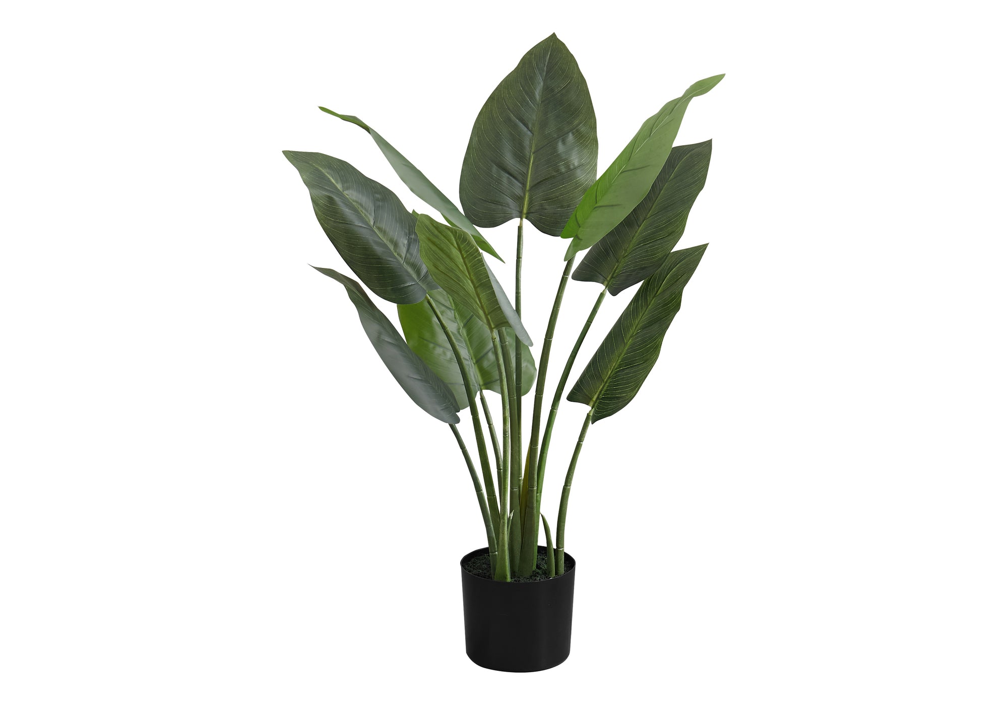 Artificial Plant - 37" Tall Aureum Tree