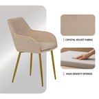 Velvet Dining Chair Set - 2 Pieces