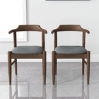 Daisy Mid-Century Modern Dining Chair Set