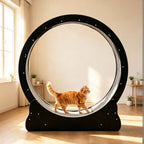 Large Cat Treadmill for Indoor Pets