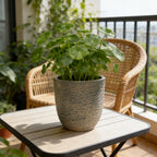Large Outdoor Indoor Planter Set of 3