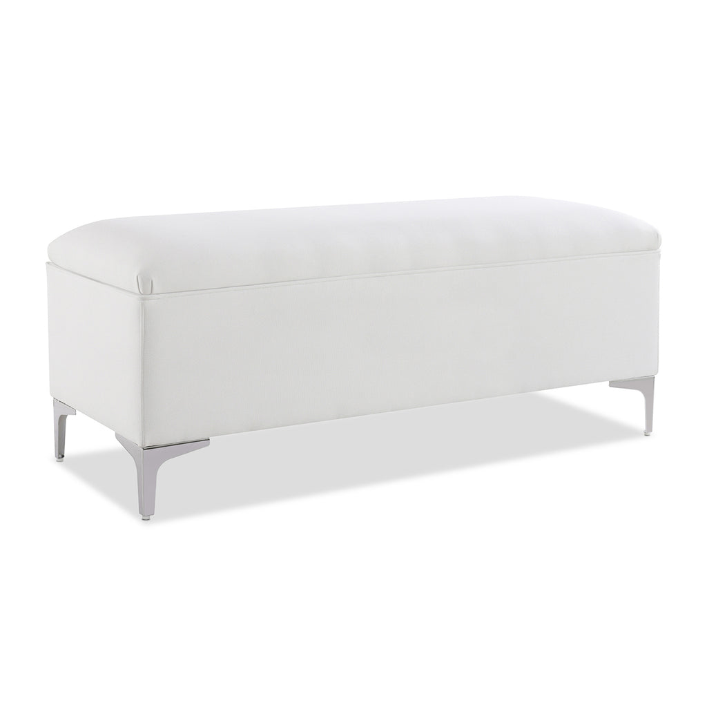 Madelyn 49" Modern Storage Bench, Bright