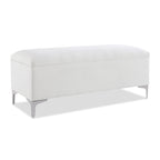 Madelyn 49" Modern Storage Bench, Bright