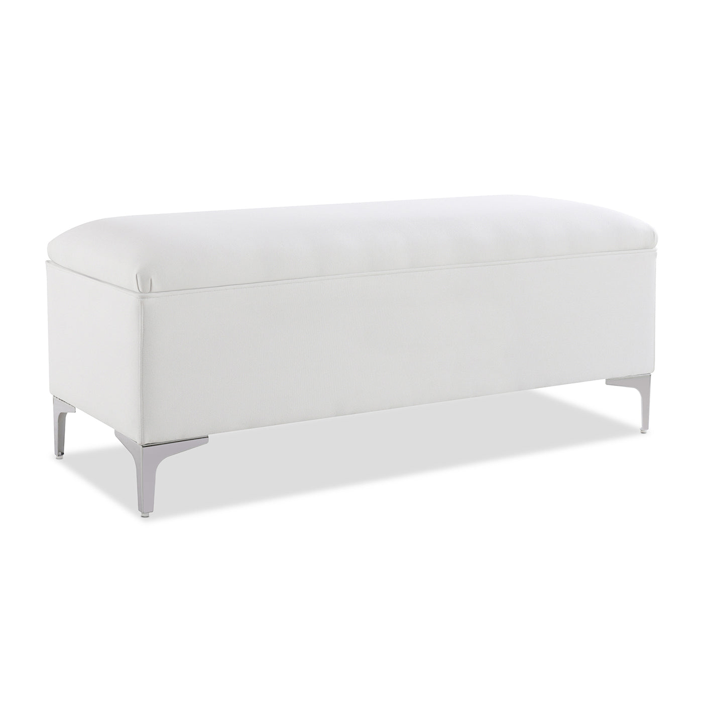 Madelyn 49" Modern Storage Bench, Bright