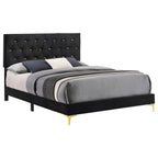 James Modern Glam Queen Bed