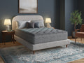 B123P299666