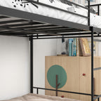 Twin Over Twin Bunk Bed, Metal Frame with Ladder