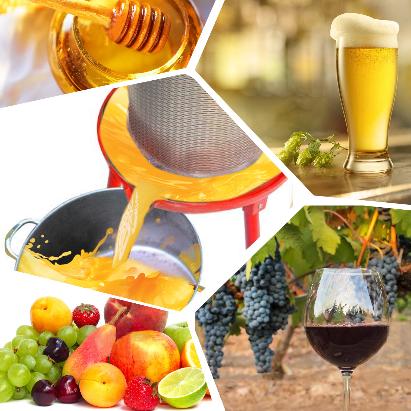 Hydraulic Fruit Wine Press with Fruit and Apple Crusher
