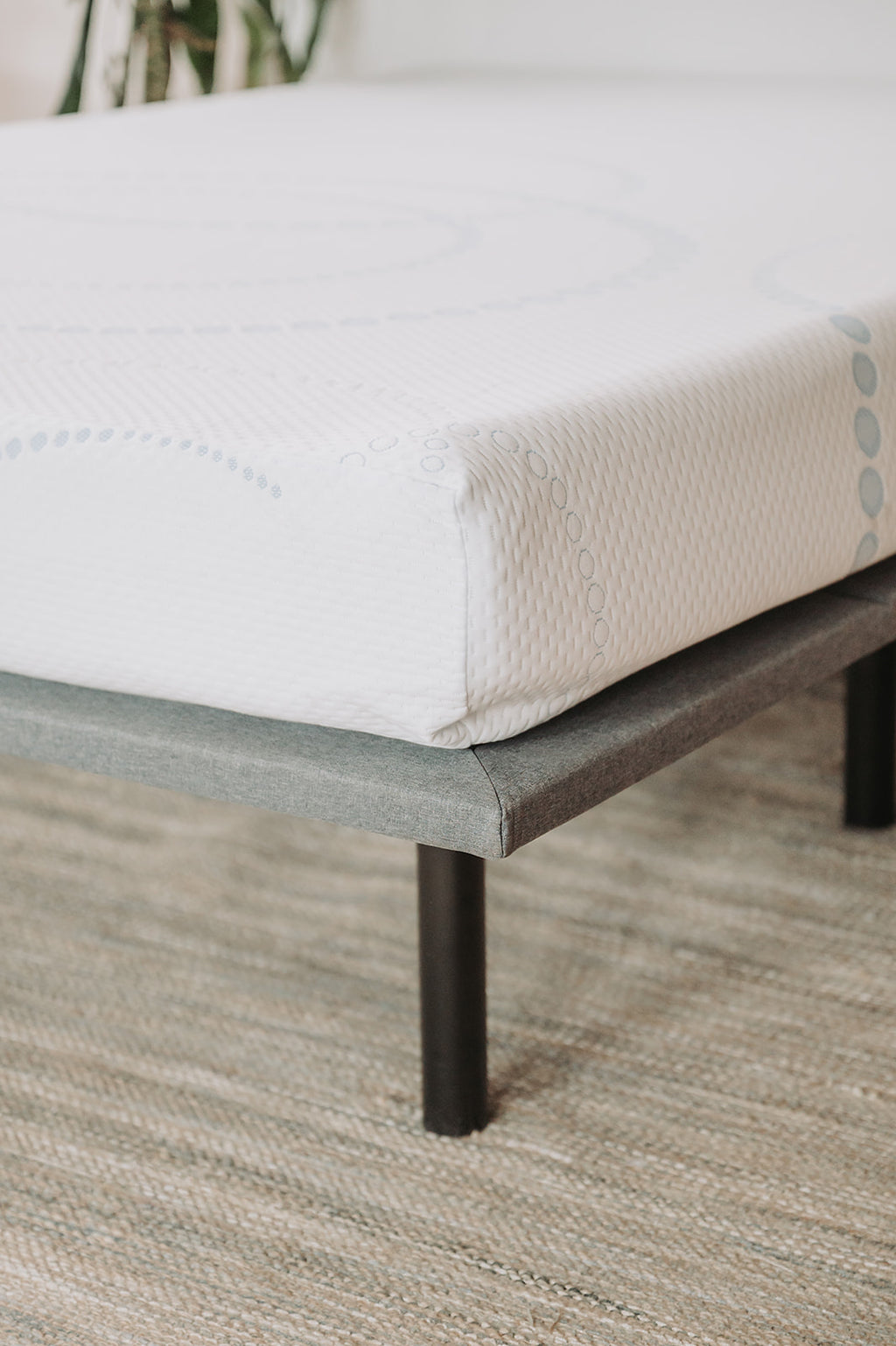 Omne Sleep 8 Inch Memory Foam Mattress Queen in White/Light