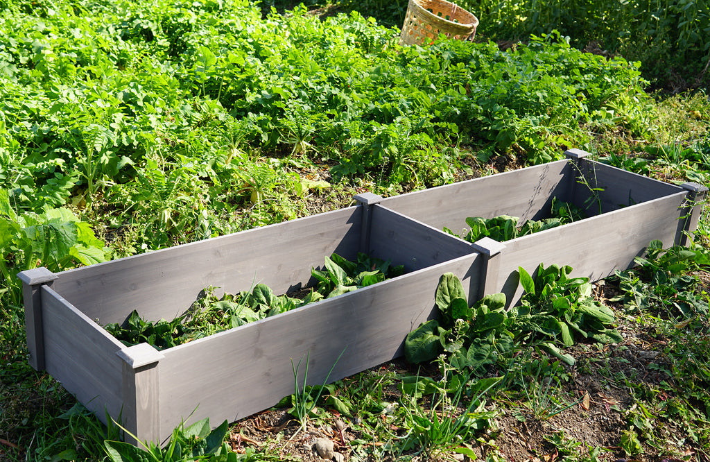 Over Ground Raised Garden Bed 96x28x10''