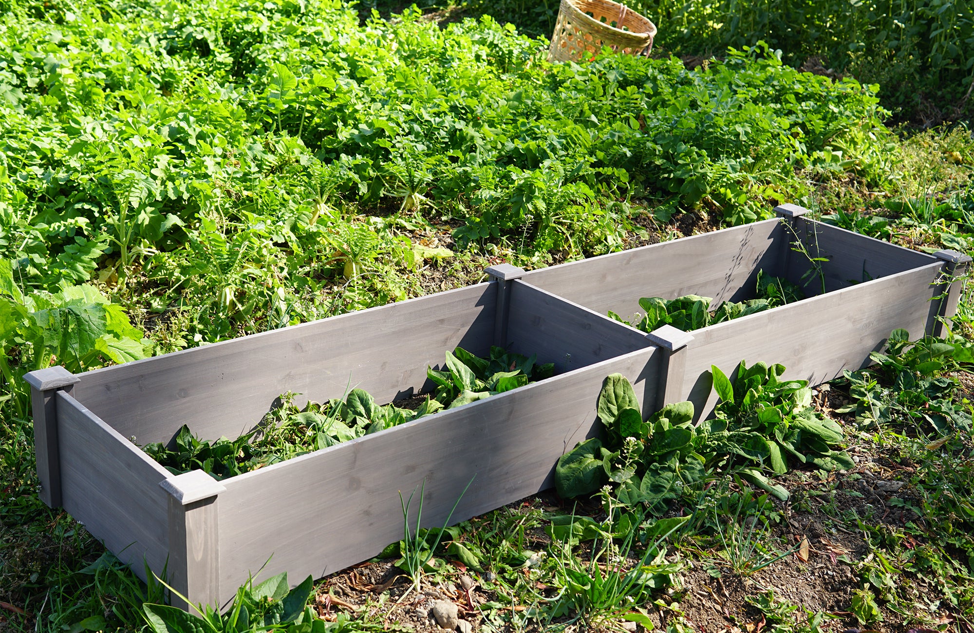 Over Ground Raised Garden Bed 96x28x10''