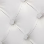 Nikki Collection Modern Tufted Dining Chair Set