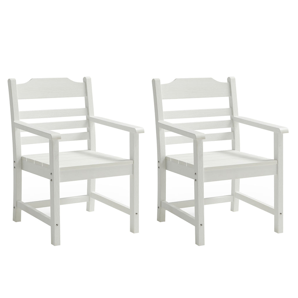 Patio Dining Chair with Armset Set of 2, Pure