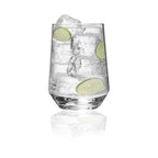 Plastic Wine Glasses Set of 4 (17oz)