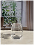 Plastic Wine Glasses Set of 4 (12oz) - Unbreakable