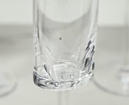Oval Halo Plastic Champagne Flutes Set of 4 (4oz)