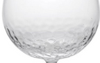 Plastic Wine Glasses Set of 4