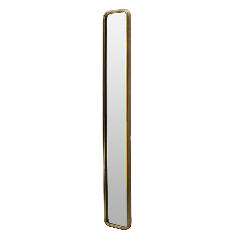 47" x 8" Full Length Mirror with Antique Frame