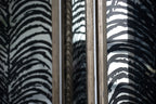 Herero 4-Panel Decorative Screen Room Divider