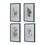 Set of 4 Botanical Wall Décor