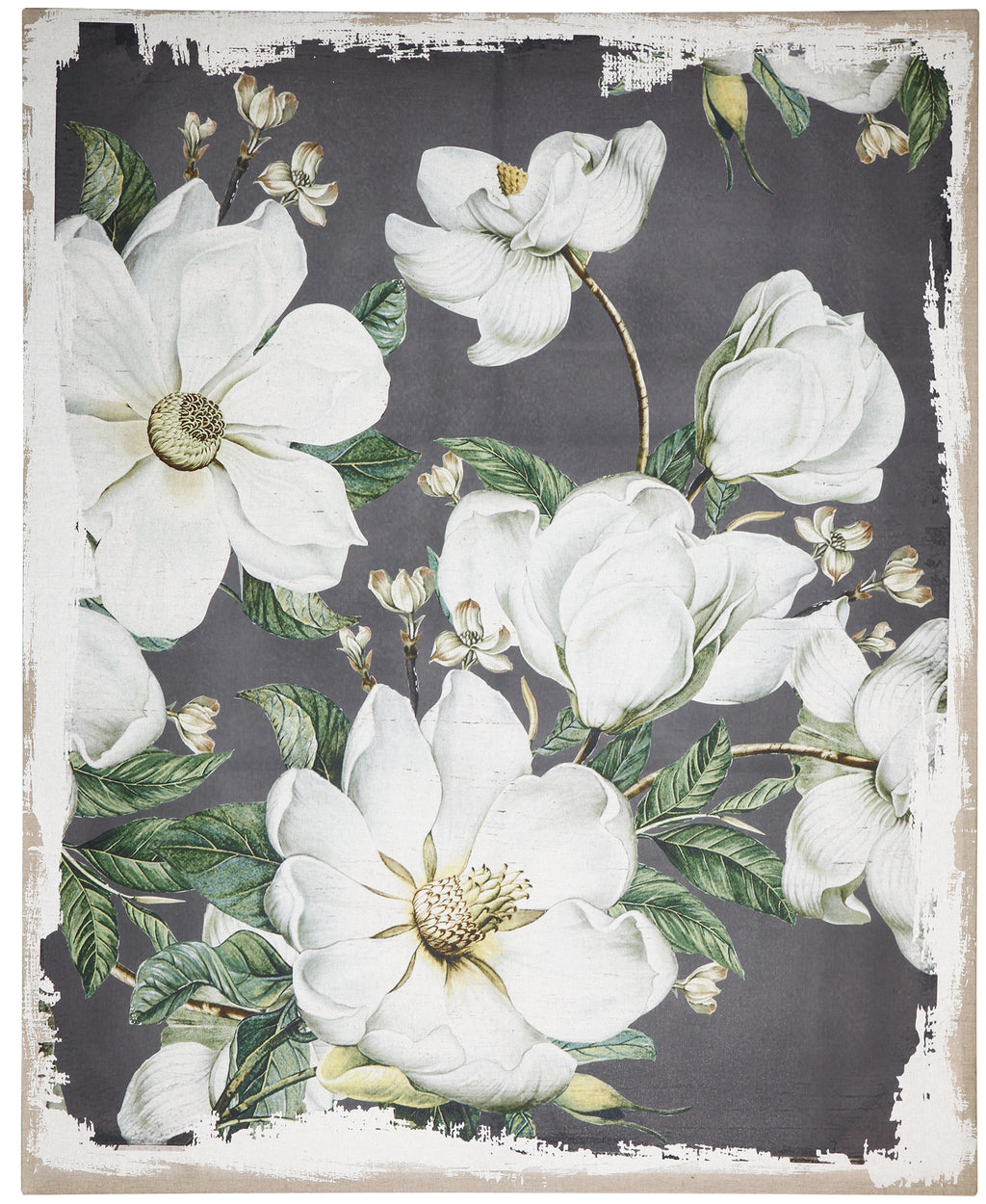 48" x 60" Large Botanical Wall Art Prints