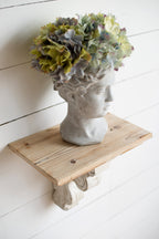Greek Style Cement Head Planter