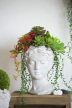 Greek Style Cement Head Planter
