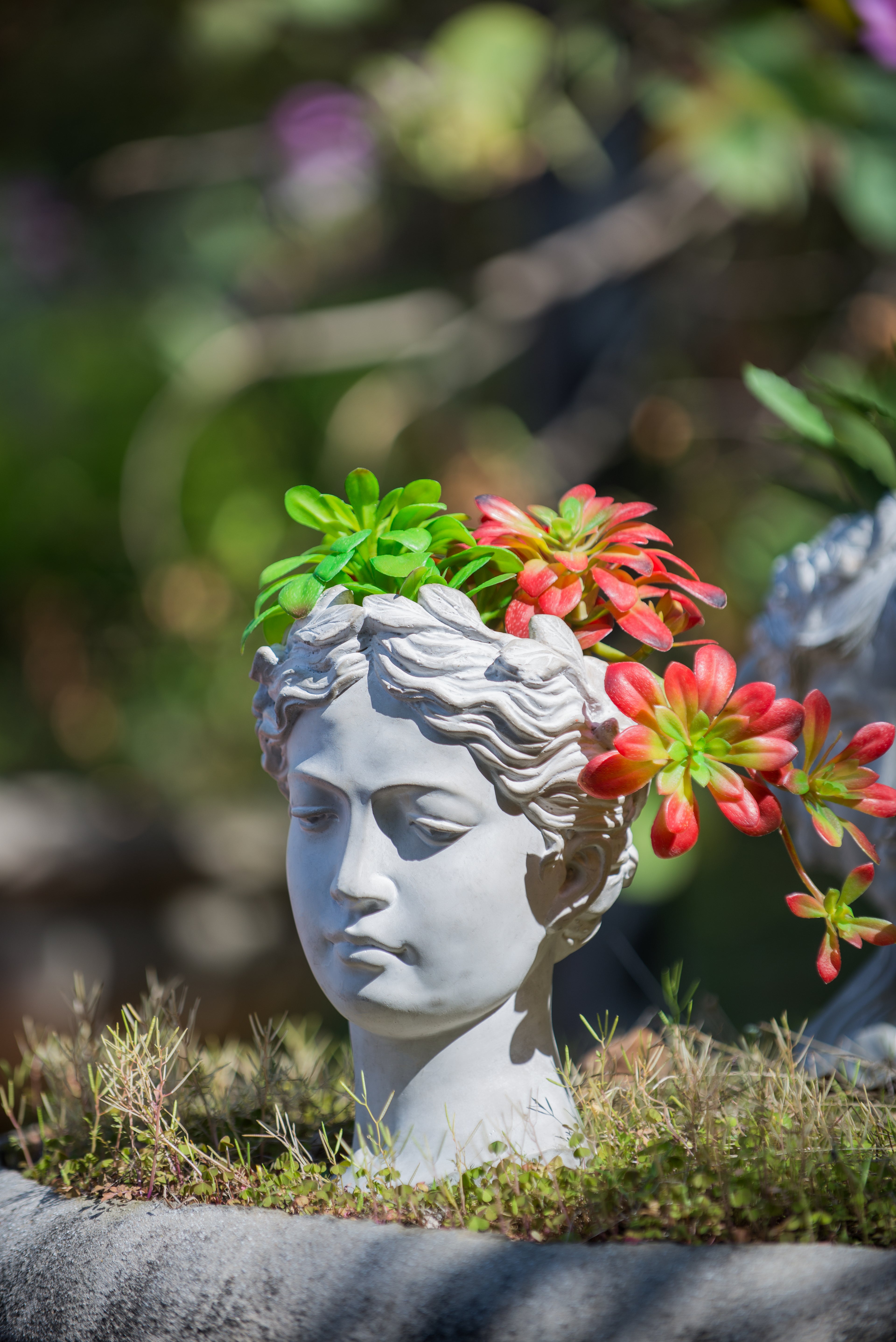 Greek Style Cement Head Planter
