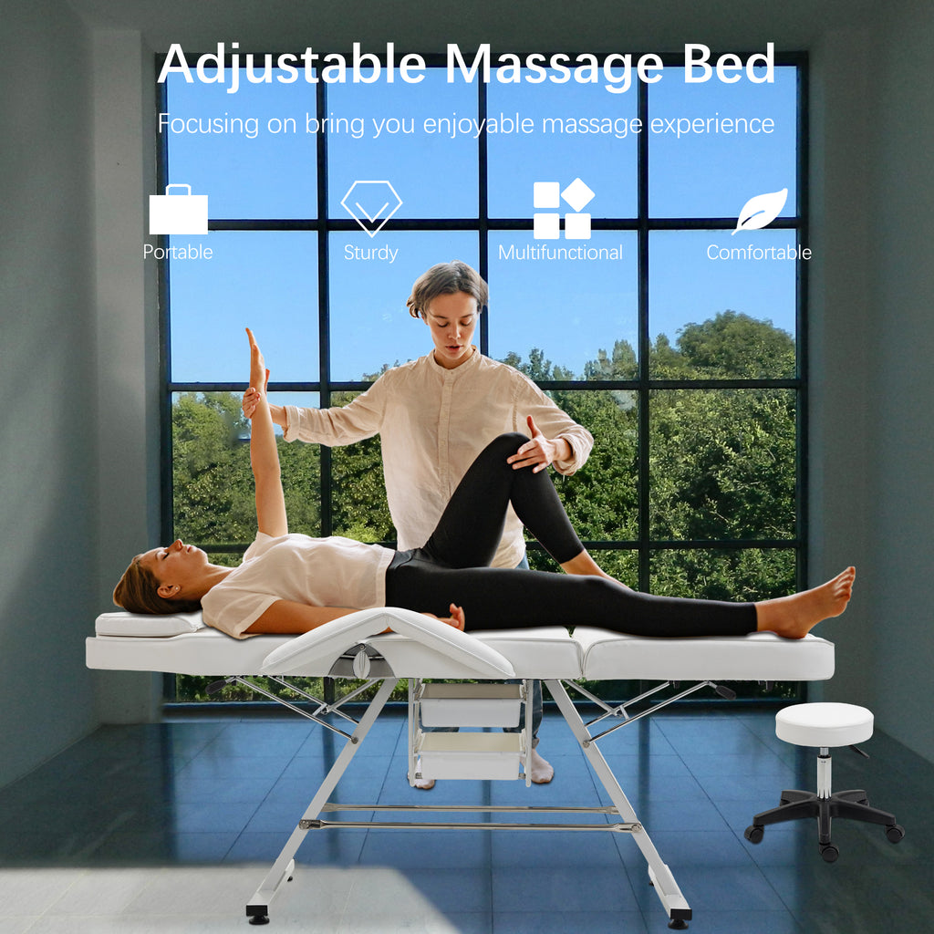 Massage Salon Tattoo Chair with Two Trays and Hydraulic Stool