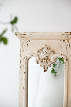 21.5" x 59" Full Length Mirror With Solid Wood Frame