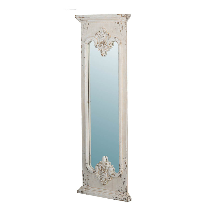 21.5" x 59" Full Length Mirror With Solid Wood Frame