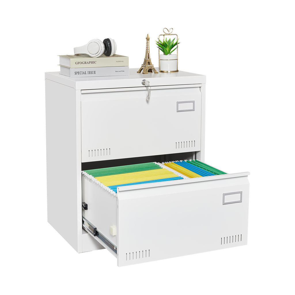 2 Drawer Lateral File Cabinet