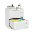 2 Drawer Lateral File Cabinet